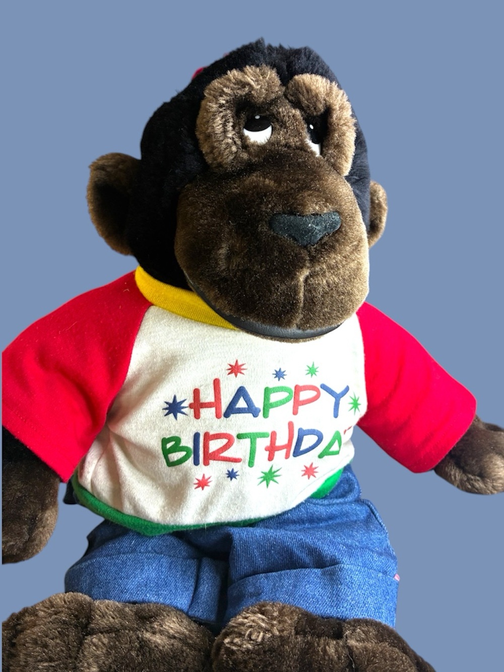 Dan Dee gorilla, wearing happy birthday shirt and matching pants.